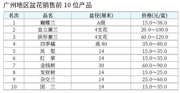 广州市场年宵盆花货源充足