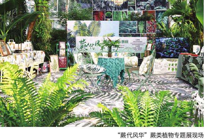 上海辰山植物园的蕨类植物展