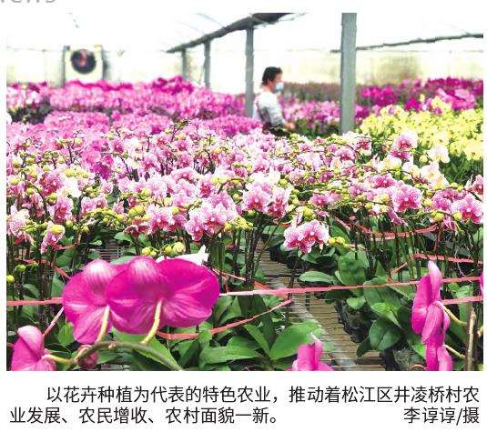 上海松江云间卉谷花卉集散交流服务中心