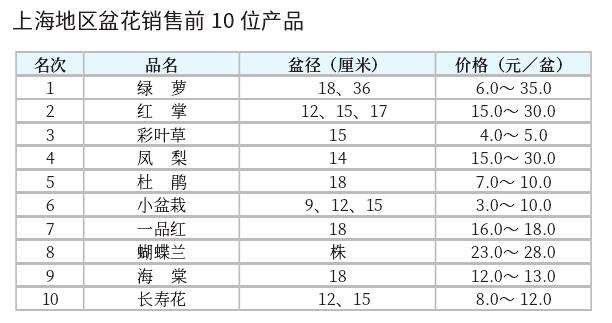 2022年9月上海盆花市场行情