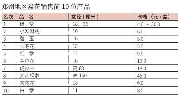  2022年8月郑州盆花市场行情