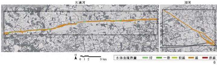 基于深度学习的水体生境质量评价模型