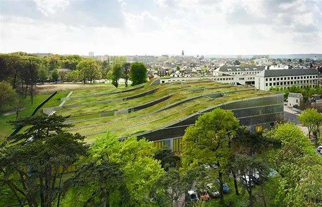 德国城市绿色结构分析法对中国的启示