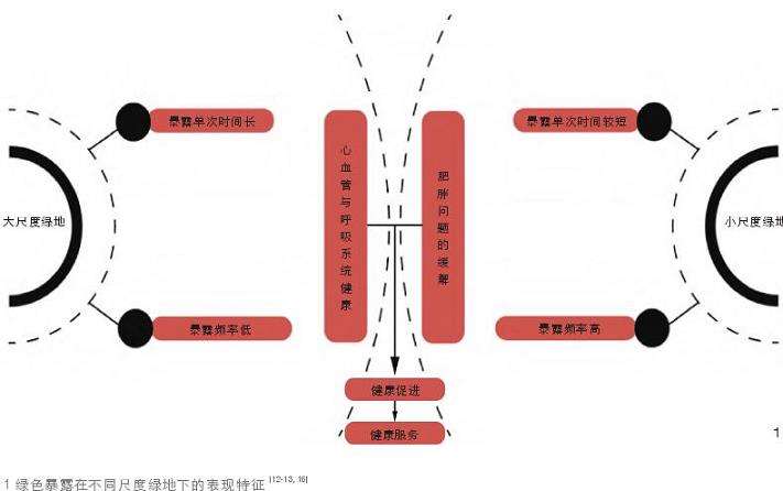 绿色暴露促进健康服务的多尺度特征