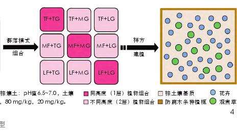 时空维度设计转译下的草本植物群落样方建立