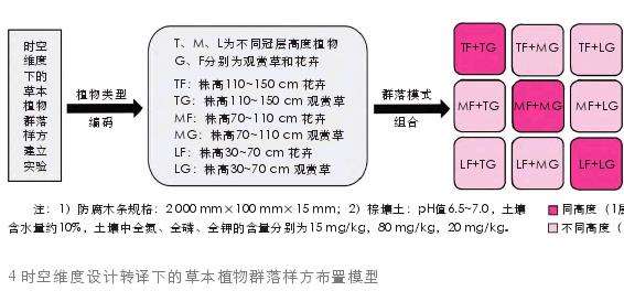 时空维度设计转译下的草本植物群落样方建立