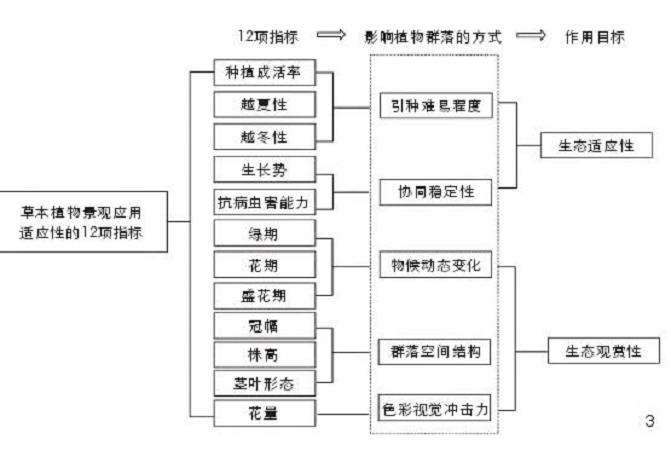 草本植物景观应用的2个适应性测定