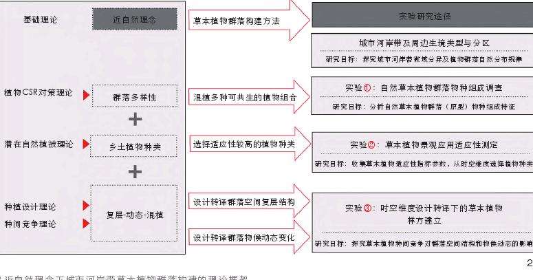 城市河岸带草本植物群落构建的实验研究途径