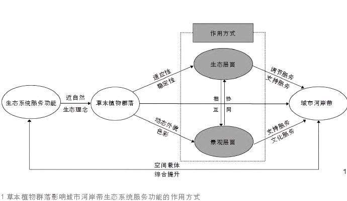 草本植物群落与城市河岸带生态系统服务作用路径阐释