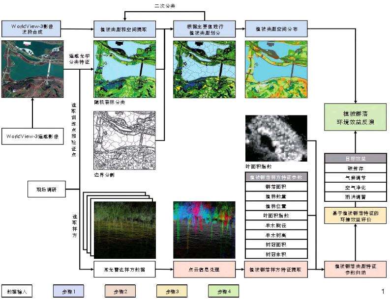 基于植被群落特征的环境效益制图的4个步骤