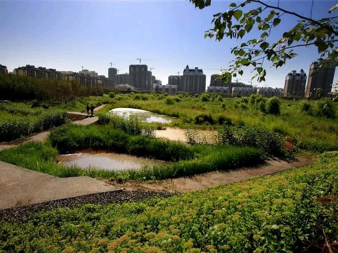 哈尔滨公园绿地供给水平未达城市绿地规划标准