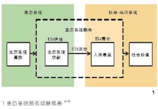 从效用评估到过程测度 生态系统服务流研究进展