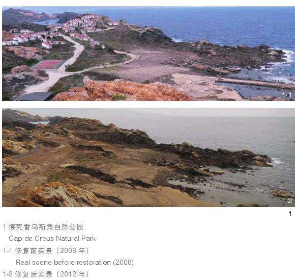 地中海西北海岸线生态系统研究