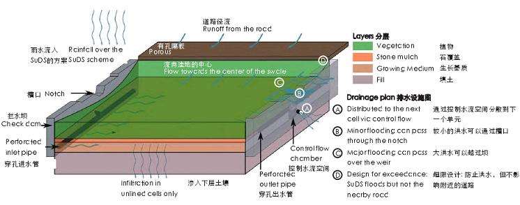 绿色雨水基础设施设计的由灰至绿