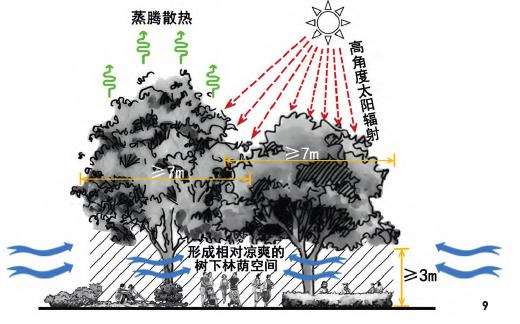 个城市公园乔木优化配置