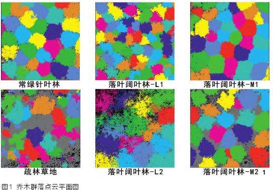 基于LiDAR三维点云数据的乔木群落生态绩效评价研究