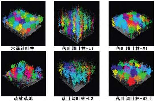 基于LiDAR三维点云数据的乔木群落生态绩效评价研究