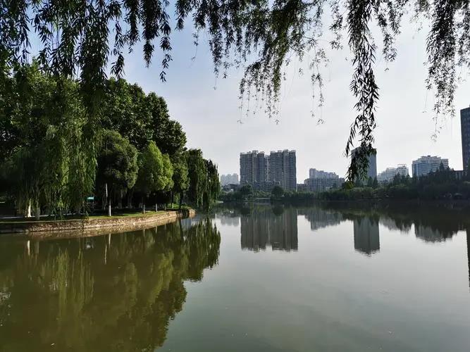 武汉湖泊公园景观的3个结论与讨论