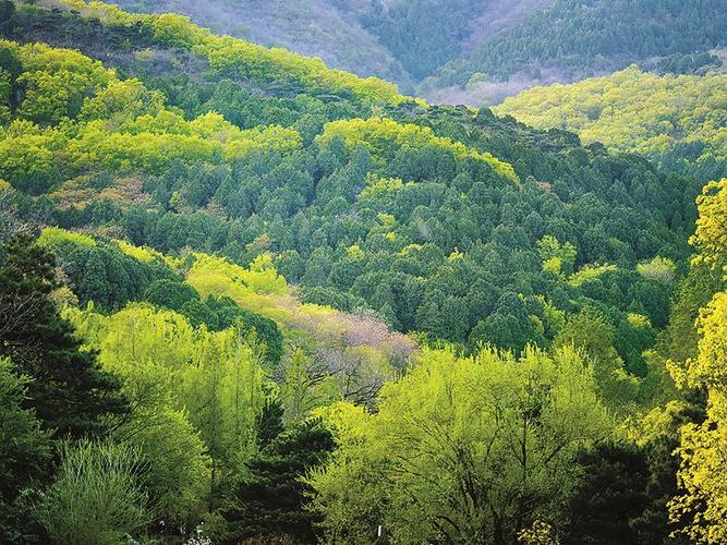 基于景观多样性的北京森林质量综合评价