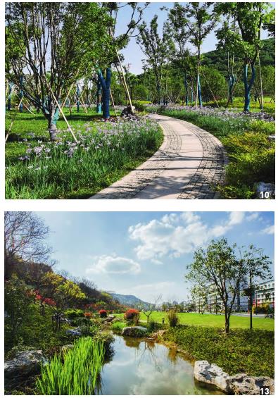 杭州郊野公园景观怎么设计的4个体会