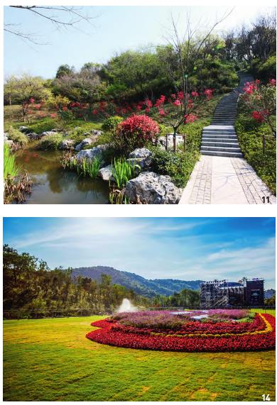 杭州郊野公园景观怎么设计的4个体会