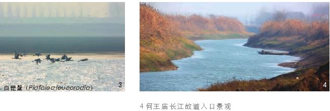 长江江豚自然保护区管理计划编制中的3个规划过程