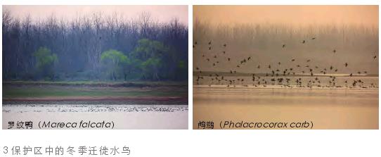 长江江豚自然保护区管理计划编制中的3个规划过程