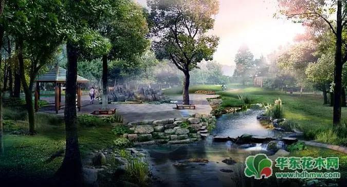 浙江省名特优园林植物培育与应用研讨会在龙游举办
