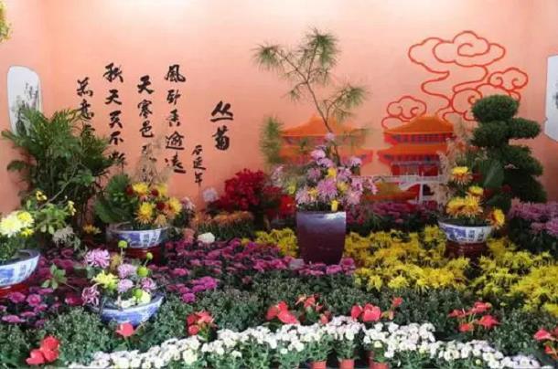 2022年杭州第八届菊花艺术展获奖小品赏析