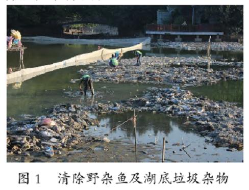 广州越秀公园景观水体水生态修复工程实践