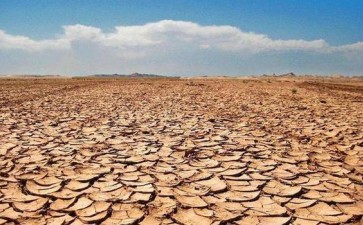 干旱半干旱区土质边坡生态修复与绿化技术分析
