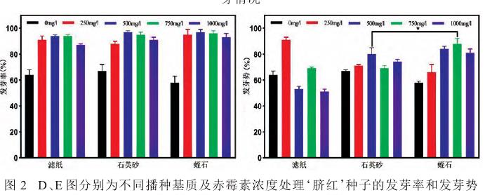 不同赤霉素浓度及播种基质对猕猴桃种子萌发的3个影响