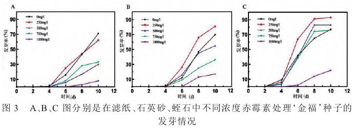 不同赤霉素浓度及播种基质对‘金福’种子萌发的影响