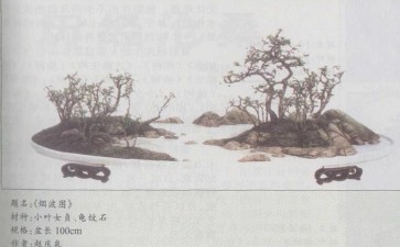 河南郑忠强再次讨论自然式盆景的创作特征