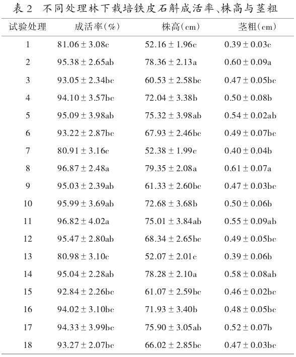 不同处理对林下栽培铁皮石斛成活率