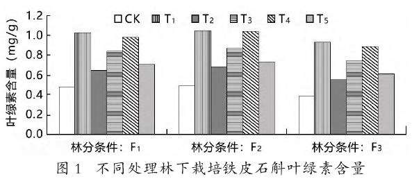 不同处理对林下栽培铁皮石斛叶绿素含量的影响