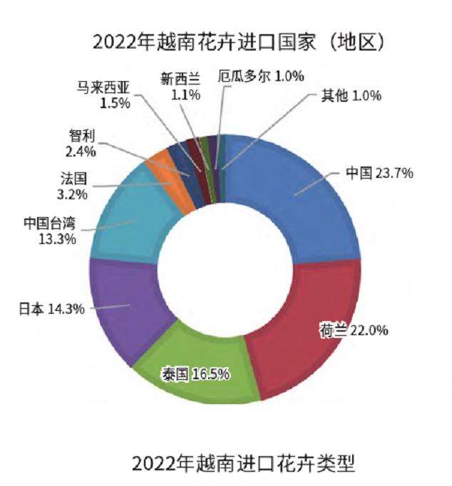 越南花卉产业市场潜力正待发掘