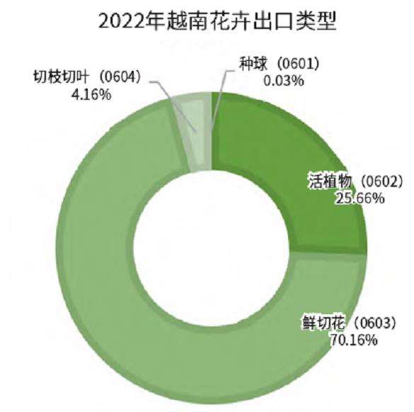 越南花卉产业市场潜力正待发掘