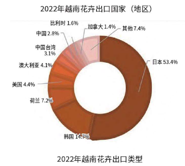 越南花卉产业市场潜力正待发掘