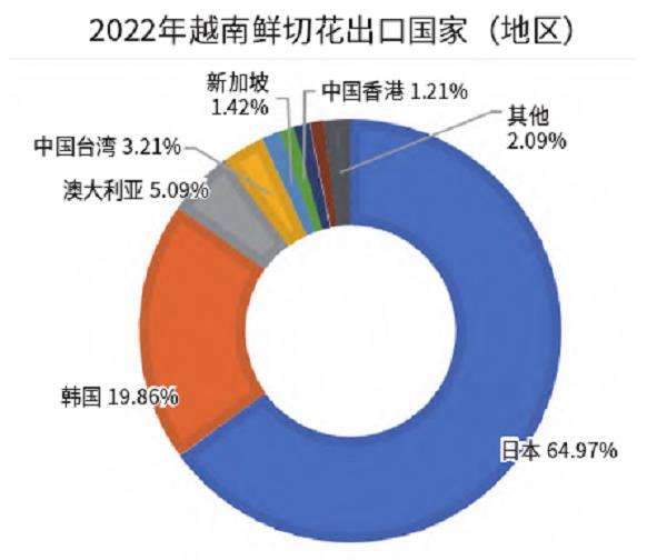 越南花卉产业市场潜力正待发掘