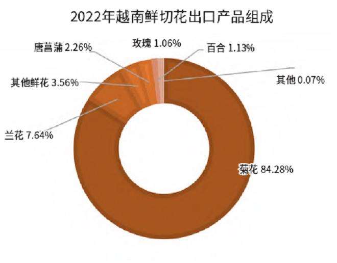 越南花卉产业市场潜力正待发掘