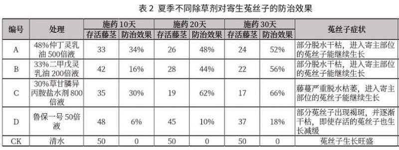 菟丝子寄生牡丹的危害与夏季防治方法