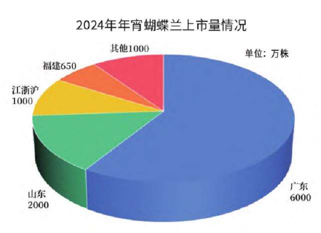 2023 蝴蝶兰产量增加且价格坚挺