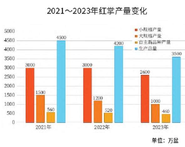 2023年红掌产量减少行情仍低迷