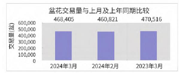 2024年3月台北花卉市场盆花、切花行情