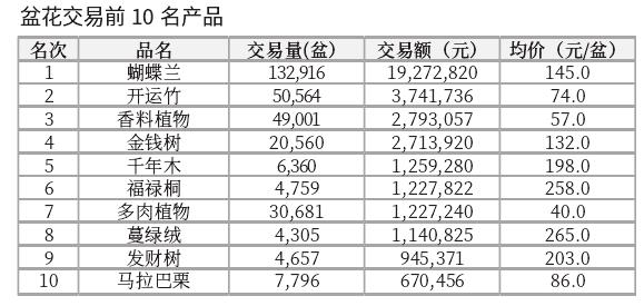 2024年3月台北花卉市场盆花 切花行情