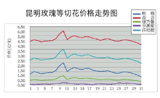 2024年3月 昆明鲜切花行情普遍上涨