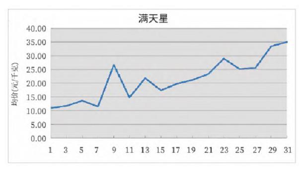 2024年3月昆明KIFA花卉拍卖交易行情