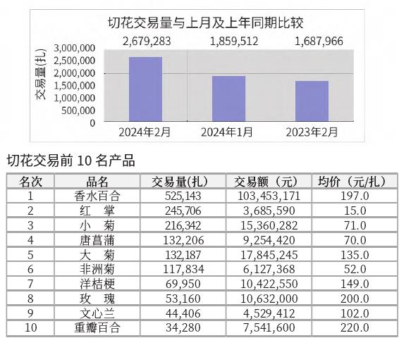 2024年2月台北花卉市场盆花 切花行情