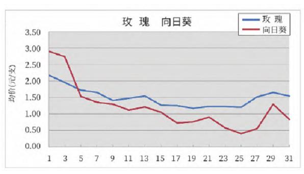 2024年1月昆明KIFA花卉拍卖交易行情